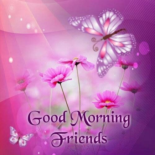 good morning friends (1)