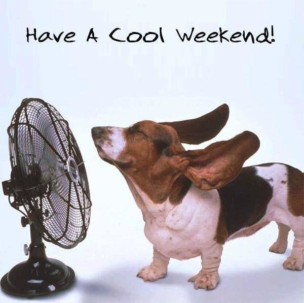 Have a cool weekend - funny happy weekend quotes