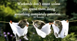 Funny weekend Quotes and Sayings with Images