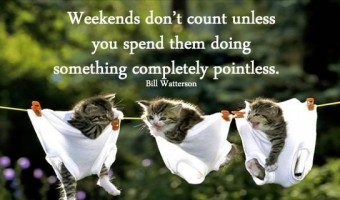 Funny weekend Quotes and Sayings with Images