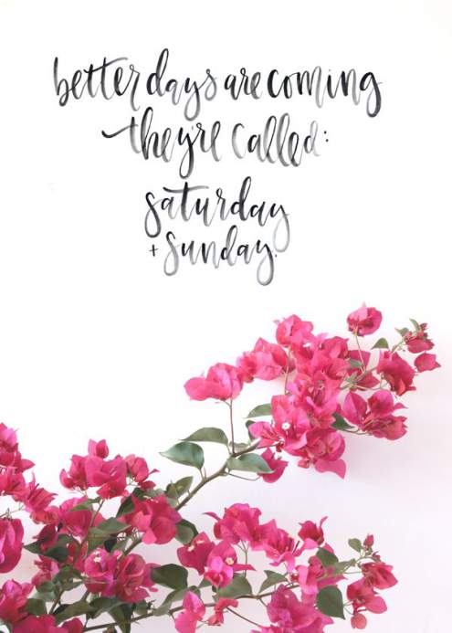30 Happy and Funny Saturday Quotes with Images