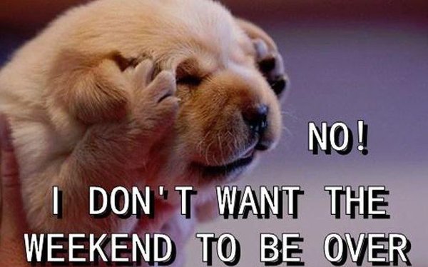 I don not want the weekend to be over - funny Happy weekend quotes