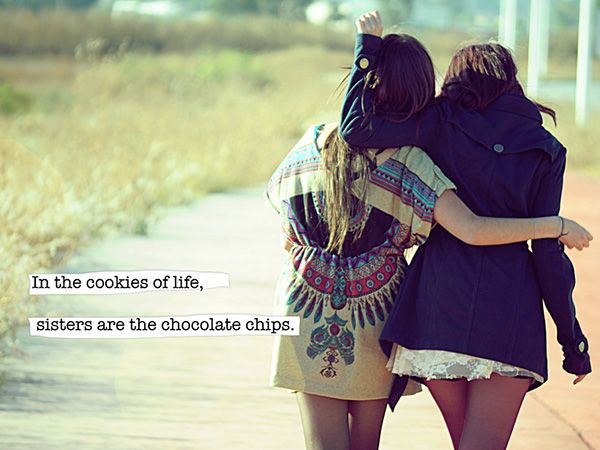 in the cookies of life sisters are the chocolates chips