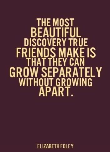 Best and Funny Friendship Quotes Images (4)