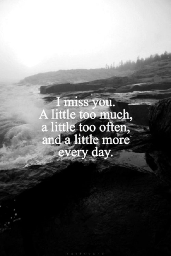 60+ Quotes about Missing Someone you Love - Freshmorningquotes