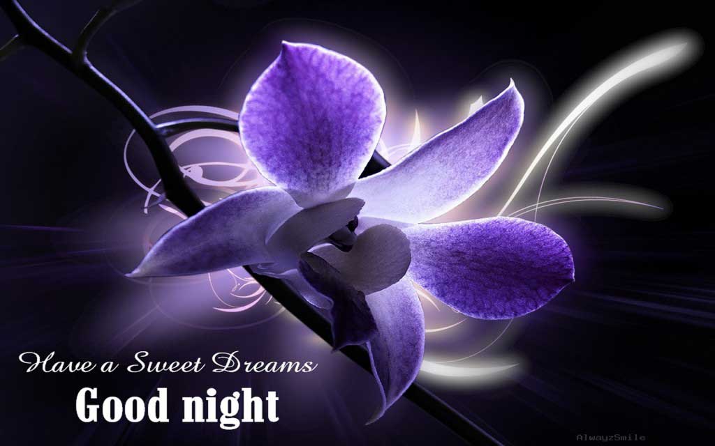 Good Night Sweet Dreams Wishes Images and Wallpapers - Freshmorningquotes