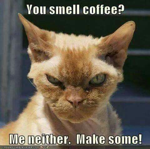 Funny Good Morning Coffee Meme picture quotes (8)