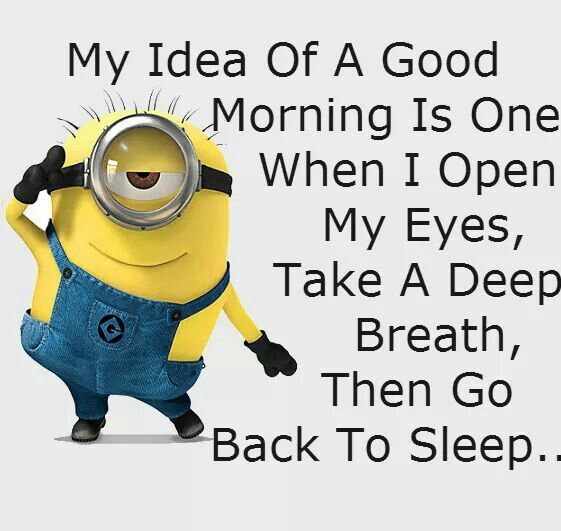40+ Funny Good Morning Quotes and Sayings - Freshmorningquotes