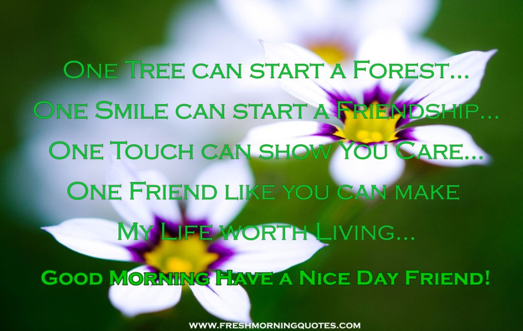 Good Morning Friend Have a nice Day Images (6)