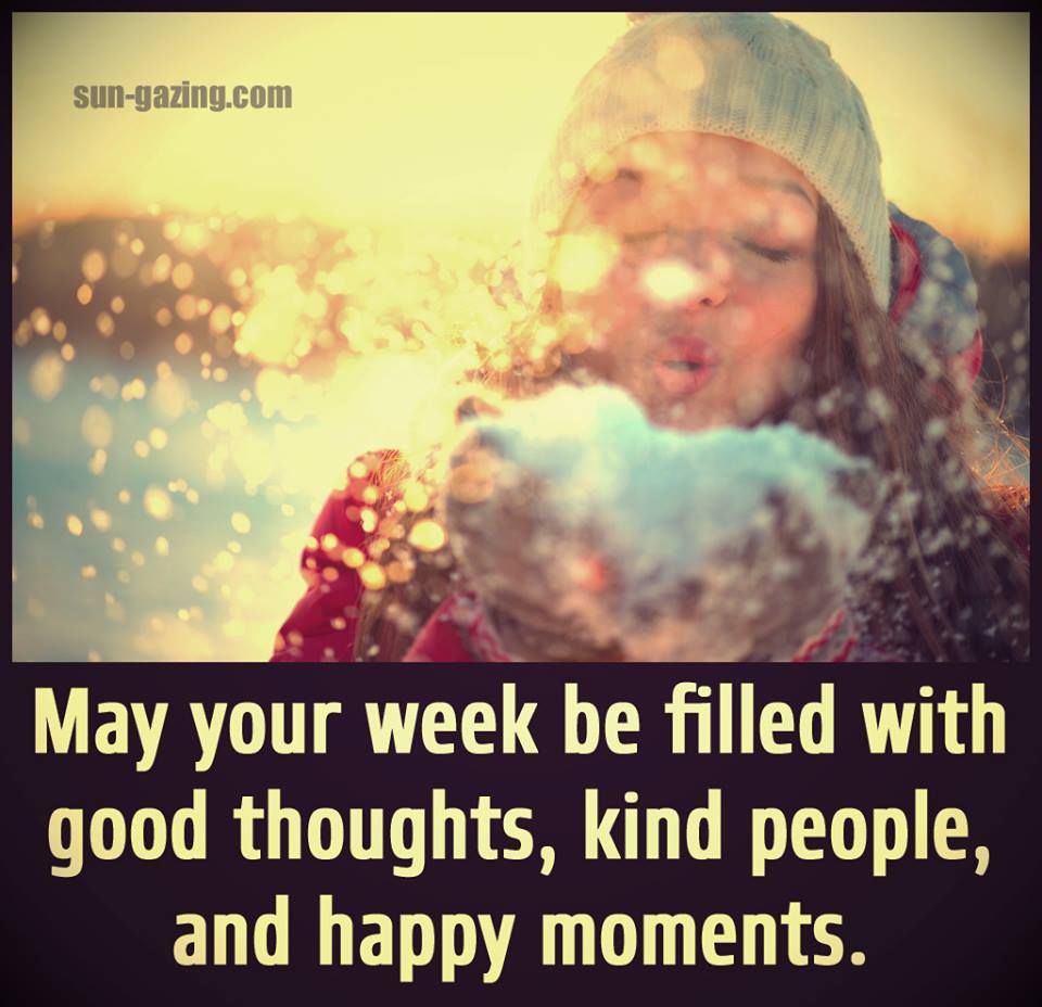 Good Morning Friend Have a nice Day Images (8)