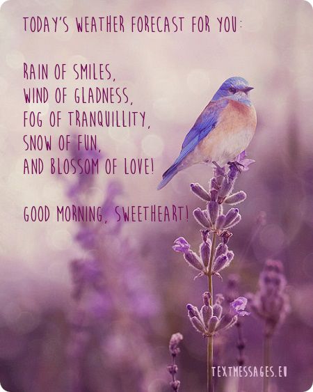 Good Morning Love Messages for Someone Special