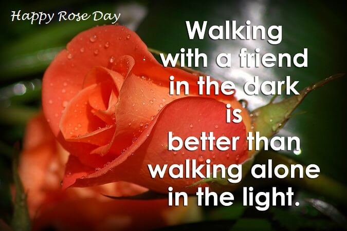 Rose Day 2018 Quotes Sayings and Images - Freshmorningquotes