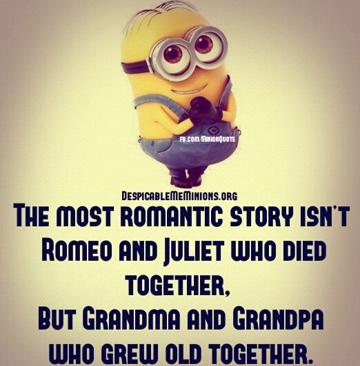 Minion-Quotes-The-most-romantic-story