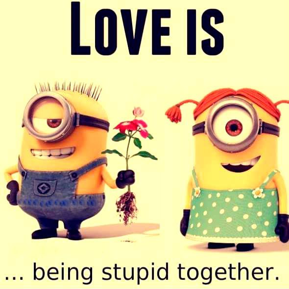 Minions Love Quotes for Valentines Day (12)