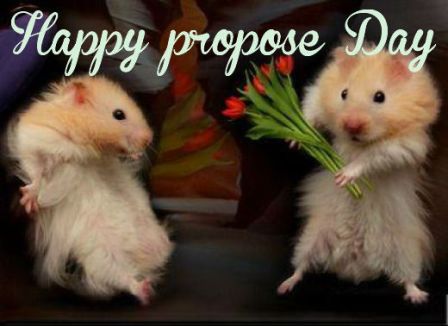 Propose-day-wallpapers-for-facebook-cover-photos-status1