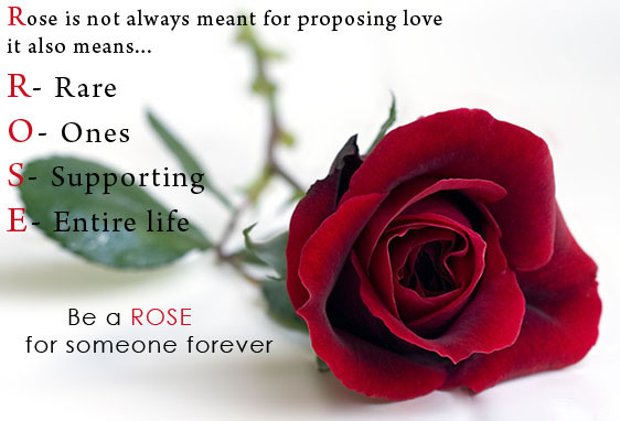 Rose Day Quotes 2015