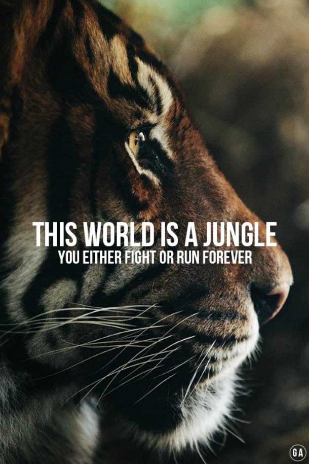 40 Best Life Quotes Tumblr Freshmorningquotes 40 Best Life Quotes Tumblr Freshmorningquotes