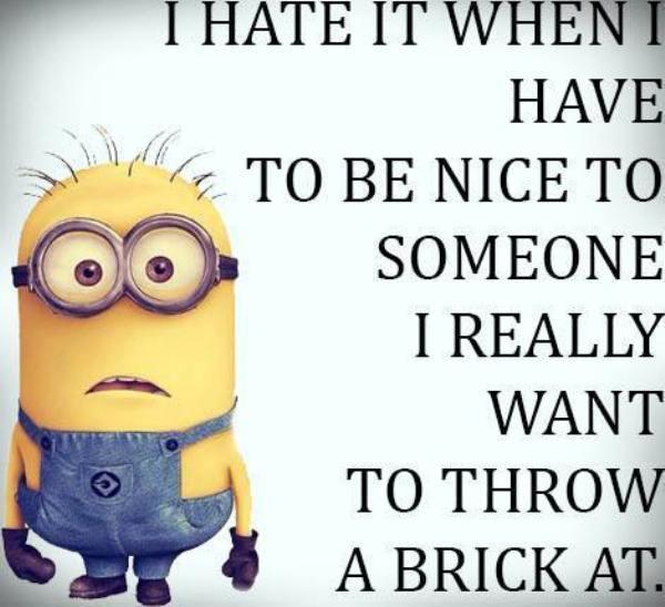 funny minion quotes images and friendship minion quotes 11