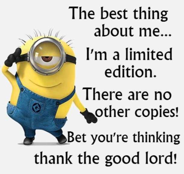 funny minion quotes images and friendship minion quotes (33)