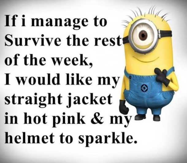funny minion quotes images and friendship minion quotes (39)