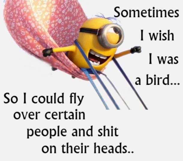 funny minion quotes images and friendship minion quotes (48)