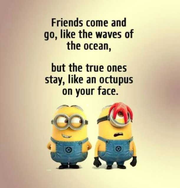 60 Funny Minion Quotes with Pictures - Freshmorningquotes