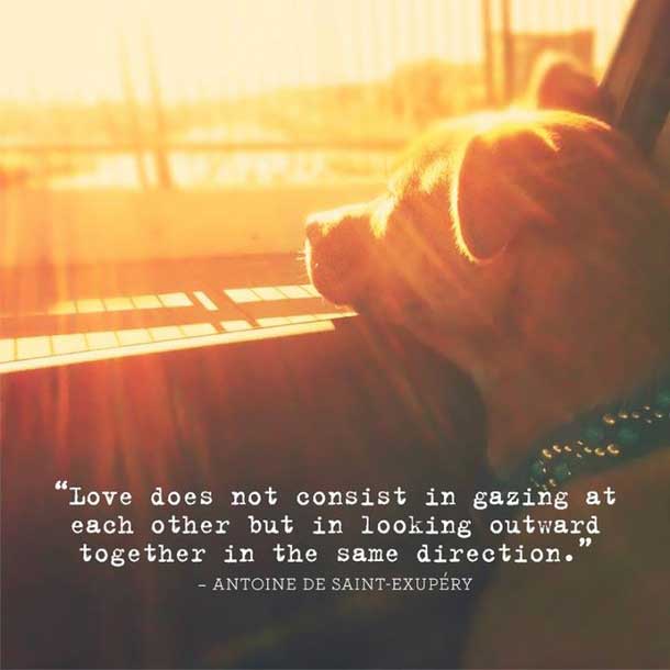 love-does-not-consist-in-gazing-each-other-heart-touching-love-quotes-images
