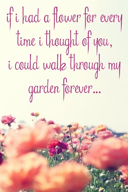 love-quotes-garden.1
