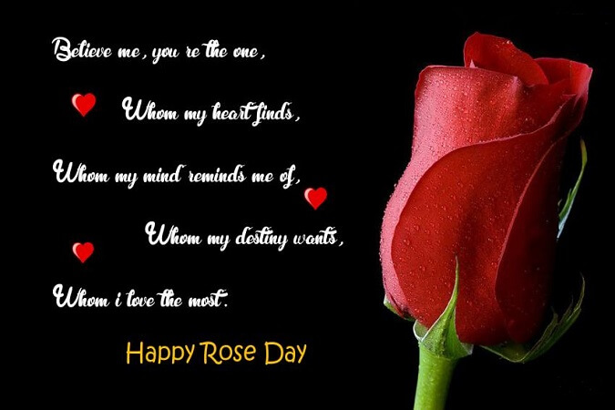 Rose Day 2018 Quotes Sayings and Images - Freshmorningquotes