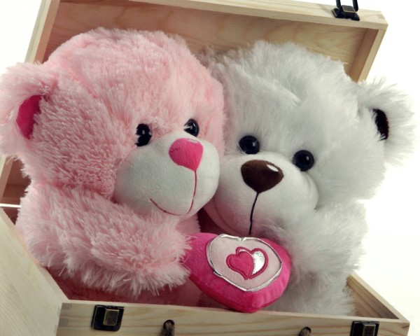 Teddy Bear Day 2021 Quotes  Wishes Images and HD Wallpapers