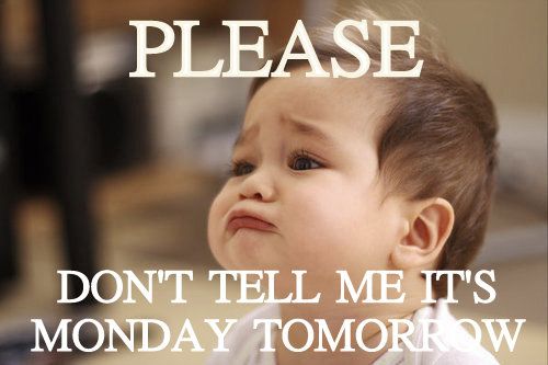 60+ Funny Monday Quotes to Make You Feel Awesome 60+ Funny Monday Quotes to Make You Feel Awesome