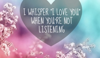 Heartfelt Quotes of Love
