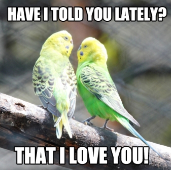 I Love You Memes For Him And Her Freshmorningquotes I Love You Memes For Him And Her Freshmorningquotes