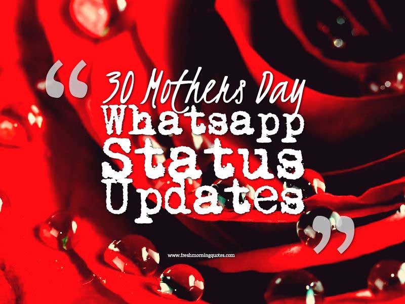 Mothers Day Whatsapp Status Updates