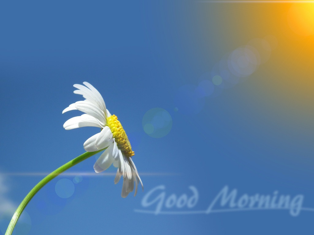 Good Morning Images HD and Wallpapers