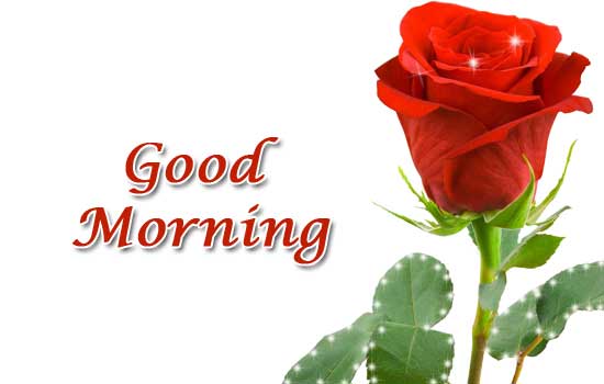Good Morning Love Wallpapers