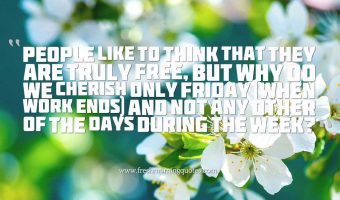 Happy Friday messages