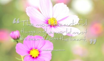 Inspirational Happy Wednesday Quotes Images