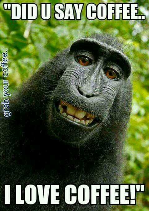 did you say coffee