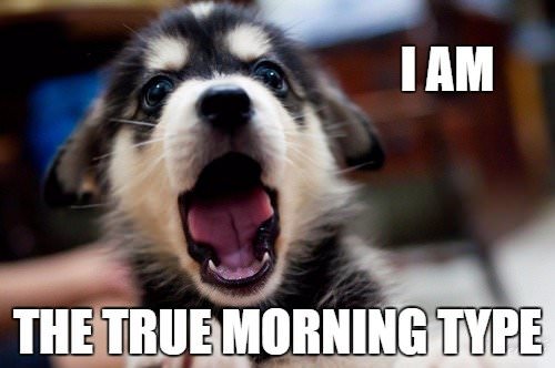 true morning type