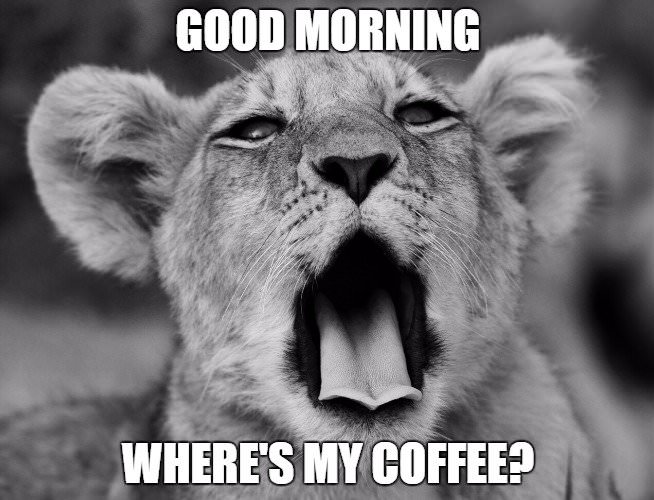 where is my coffee meme