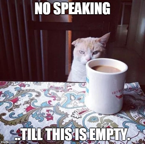 empty cup of coffee meme
