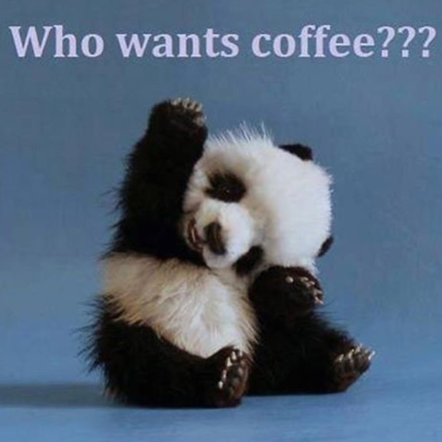 who wants coffee