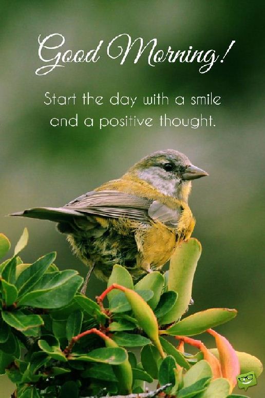 cute good morning quotes